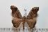  ( - BC-Basq 2208)  @14 [ ] Copyright (2010) Unspecified Research Collection of Patrick Basquin