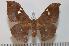  ( - BC-Basq 2278)  @13 [ ] Copyright (2010) Unspecified Research Collection of Patrick Basquin