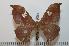  ( - BC-Basq 2279)  @14 [ ] Copyright (2010) Unspecified Research Collection of Patrick Basquin