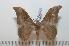  ( - BC-Basq 2457)  @14 [ ] Copyright (2010) Unspecified Research Collection of Patrick Basquin