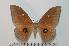 ( - BC-Basq 2505)  @14 [ ] Copyright (2010) Unspecified Research Collection of Patrick Basquin