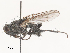  ( - CBG-A51045-E04)  @11 [ ] CreativeCommons - Attribution Share - Alike (2024) CBG Photography Group Centre for Biodiversity Genomics