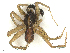 ( - CBG-A67020-H11)  @11 [ ] CreativeCommons - Attribution Share - Alike (2025) CBG Photography Group Centre for Biodiversity Genomics
