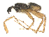  ( - CBG-A67020-H06)  @11 [ ] CreativeCommons - Attribution Share - Alike (2025) CBG Photography Group Centre for Biodiversity Genomics