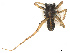  ( - CBG-A67810-F06)  @11 [ ] CreativeCommons - Attribution Share - Alike (2025) CBG Photography Group Centre for Biodiversity Genomics