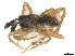  ( - CBG-A67810-F07)  @11 [ ] CreativeCommons - Attribution Share - Alike (2025) CBG Photography Group Centre for Biodiversity Genomics