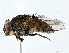  ( - BIOUG85486-A11)  @11 [ ] CreativeCommons - Attribution (2022) CBG Photography Group Centre for Biodiversity Genomics