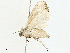  ( - BIOUG99481-B01)  @11 [ ] CreativeCommons - Attribution (2023) CBG Photography Group Centre for Biodiversity Genomics