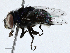  ( - CBG-A02878-G09)  @11 [ ] CreativeCommons - Attribution (2023) CBG Photography Group Centre for Biodiversity Genomics
