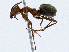  ( - CBG-A02910-C08)  @11 [ ] CreativeCommons - Attribution (2023) CBG Photography Group Centre for Biodiversity Genomics