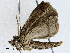  ( - CBG-A02910-F03)  @11 [ ] CreativeCommons - Attribution (2023) CBG Photography Group Centre for Biodiversity Genomics