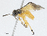  ( - CBG-A04491-F06)  @11 [ ] CreativeCommons - Attribution (2023) CBG Photography Group Centre for Biodiversity Genomics
