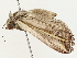  ( - BIOUG85242-C01)  @11 [ ] CreativeCommons - Attribution (2022) CBG Photography Group Centre for Biodiversity Genomics