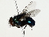  ( - BIOUG85242-H02)  @11 [ ] CreativeCommons - Attribution (2022) CBG Photography Group Centre for Biodiversity Genomics