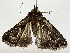  ( - BIOUG85486-H06)  @11 [ ] CreativeCommons - Attribution (2022) CBG Photography Group Centre for Biodiversity Genomics