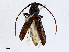  ( - CBG-A02879-C05)  @11 [ ] CreativeCommons - Attribution (2023) CBG Photography Group Centre for Biodiversity Genomics