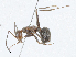  ( - CBG-A02917-A09)  @11 [ ] CreativeCommons - Attribution (2023) CBG Photography Group Centre for Biodiversity Genomics