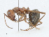  ( - CBG-A02917-A10)  @11 [ ] CreativeCommons - Attribution (2023) CBG Photography Group Centre for Biodiversity Genomics