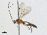  ( - CBG-A04442-A03)  @11 [ ] CreativeCommons - Attribution (2023) CBG Photography Group Centre for Biodiversity Genomics