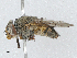  ( - CBG-A04442-A10)  @11 [ ] CreativeCommons - Attribution (2023) CBG Photography Group Centre for Biodiversity Genomics