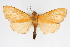  ( - CNCLEP00075244)  @11 [ ] CreativeCommons - Attribution Non-Commercial Share-Alike (2010) Jean-Francois Landry, CNC and Zhaofu Yang, BIO Canadian National Collections