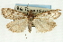  ( - CNCLEP00089137)  @11 [ ] CreativeCommons - Attribution Non-Commercial Share-Alike (2011) Jean-Francois Landry, CNC and Zhaofu Yang, BIO Canadian National Collections