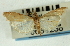  (Udea nomophilodes - CNCLEP00089238)  @13 [ ] CreativeCommons - Attribution Non-Commercial Share-Alike (2011) Jean-Francois Landry, CNC and Zhaofu Yang, BIO Canadian National Collections