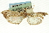  ( - CNCLEP00089369)  @12 [ ] CreativeCommons - Attribution Non-Commercial Share-Alike (2011) Jean-Francois Landry, CNC and Zhaofu Yang, BIO Canadian National Collections