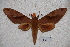  ( - BC-RBP-0475)  @13 [ ] Copyright (2010) Unspecified Research Collection of Ron Brechlin