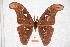  ( - BC-RBP-0575)  @11 [ ] Copyright (2010) Unspecified Research Collection of Ron Brechlin