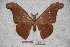  ( - BC-RBP-0689)  @14 [ ] Copyright (2010) Unspecified Research Collection of Ron Brechlin