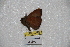  ( - BC-RBP-0838)  @12 [ ] Copyright (2010) Unspecified Research Collection of Ron Brechlin