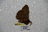  ( - BC-RBP-0843)  @12 [ ] Copyright (2010) Unspecified Research Collection of Ron Brechlin