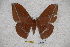  ( - BC-RBP-0933)  @12 [ ] Copyright (2010) Unspecified Research Collection of Ron Brechlin