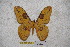  ( - BC-RBP-1349)  @12 [ ] Copyright (2010) Unspecified Research Collection of Ron Brechlin