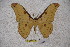  ( - BC-RBP-1392)  @13 [ ] Copyright (2010) Unspecified Research Collection of Ron Brechlin