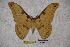  ( - BC-RBP-1393)  @13 [ ] Copyright (2010) Unspecified Research Collection of Ron Brechlin