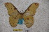  ( - BC-RBP-1394)  @11 [ ] Copyright (2010) Unspecified Research Collection of Ron Brechlin