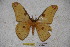  ( - BC-RBP-1395)  @13 [ ] Copyright (2010) Unspecified Research Collection of Ron Brechlin