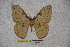  ( - BC-RBP-1430)  @13 [ ] Copyright (2010) Unspecified Research Collection of Ron Brechlin
