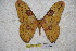  ( - BC-RBP-1510)  @12 [ ] Copyright (2010) Unspecified Research Collection of Ron Brechlin