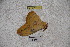  ( - BC-RBP-1523)  @12 [ ] Copyright (2010) Unspecified Research Collection of Ron Brechlin
