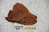  ( - BC-RBP-1541)  @12 [ ] Copyright (2010) Unspecified Research Collection of Ron Brechlin