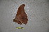  ( - BC-RBP-1893)  @12 [ ] Copyright (2010) Unspecified Research Collection of Ron Brechlin