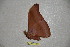  ( - BC-RBP-1894)  @12 [ ] Copyright (2010) Unspecified Research Collection of Ron Brechlin