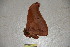  ( - BC-RBP-1901)  @12 [ ] Copyright (2010) Unspecified Research Collection of Ron Brechlin
