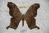  ( - BC-RBP-2313)  @13 [ ] Copyright (2010) Unspecified Research Collection of Ron Brechlin