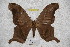  ( - BC-RBP-2314)  @13 [ ] Copyright (2010) Unspecified Research Collection of Ron Brechlin