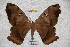  ( - BC-RBP-2316)  @13 [ ] Copyright (2010) Unspecified Research Collection of Ron Brechlin