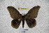  ( - BC-RBP-2357)  @13 [ ] Copyright (2010) Unspecified Research Collection of Ron Brechlin
